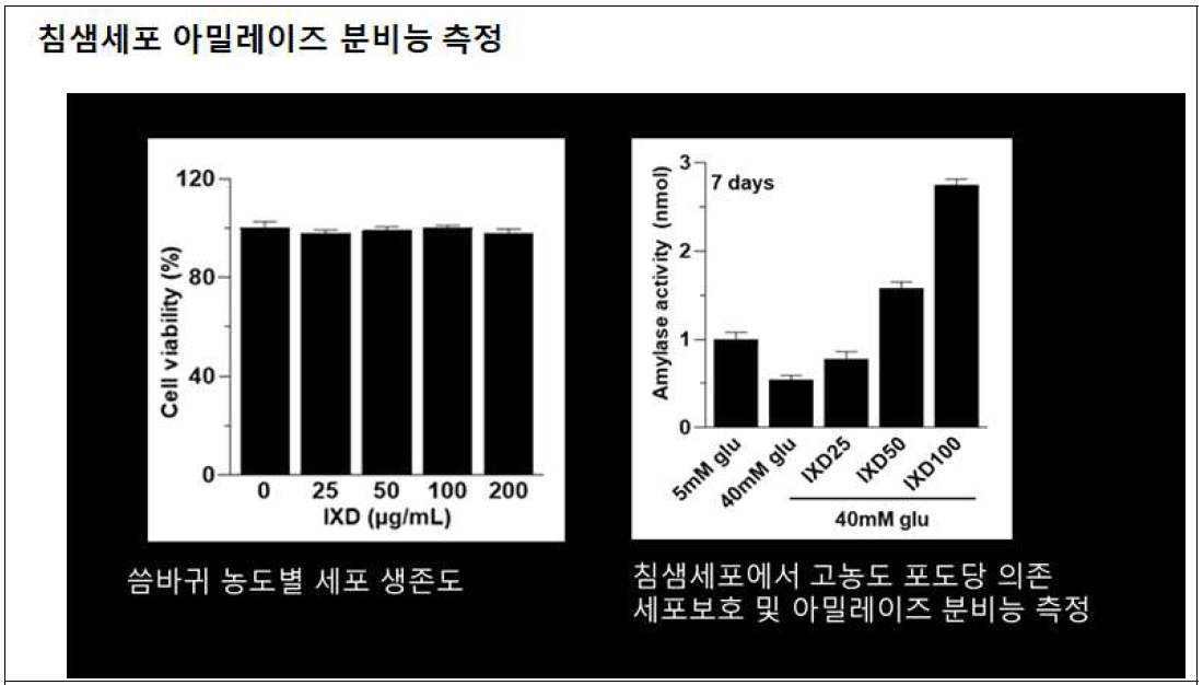 침샘세포 아밀레이즈 분비능 측정