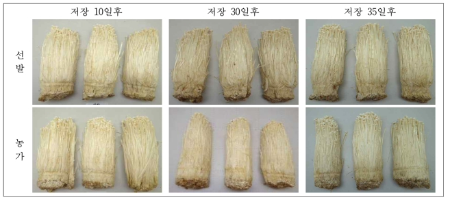 저장기간에 따른 자실체 품질 변화