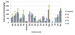 질소함량에 따른 자실체 아미노산 성분별 함량-흑타리