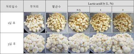 농도별 lactic acid 분무 처리에 따른 팽이버섯의 품질 영향