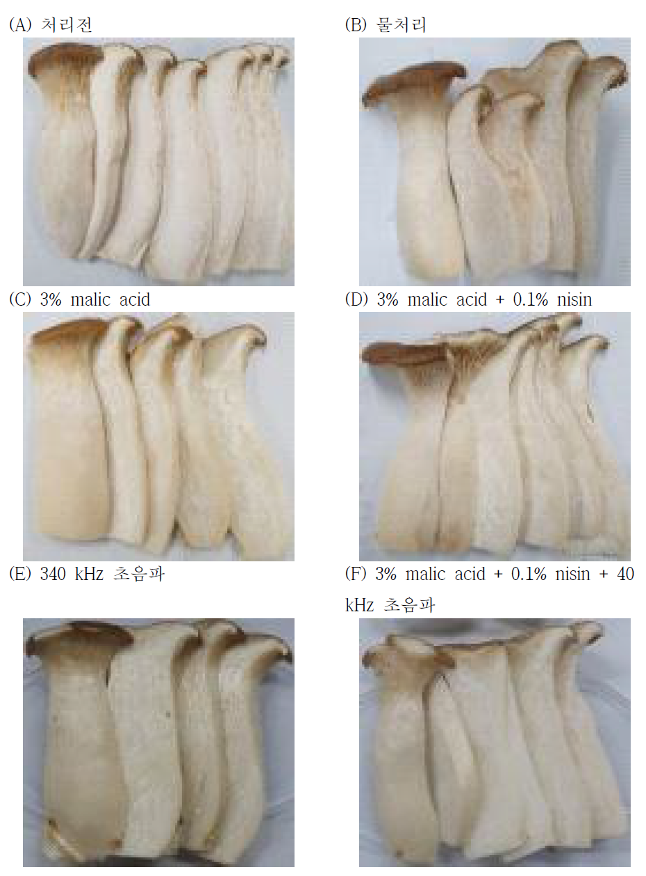 Malic acid과 nisin 및 초음파의 병용처리에 따른 큰느타리버섯 품질변화
