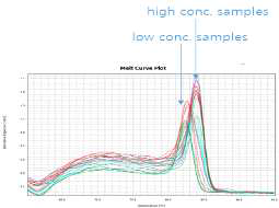 샘플 농도에 따른 melt curve