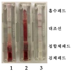 Comparison of sample pad 대조선: 토끼 항-염소 IgG IgG 1. 검체: Normal Blood, 검체패드: 전혈용 (Cytosep 1662, AHLSTROM MUNKSJO) 2. 검체: Normal Blood, 검체패드: 혈청, 혈장 용 (Grade 319, AHLSTROM MUNKSJO) 3. 검체: Normal Serum, 검체패드: 혈청, 혈장 용 (Grade 319, AHLSTROM MUNKSJO)
