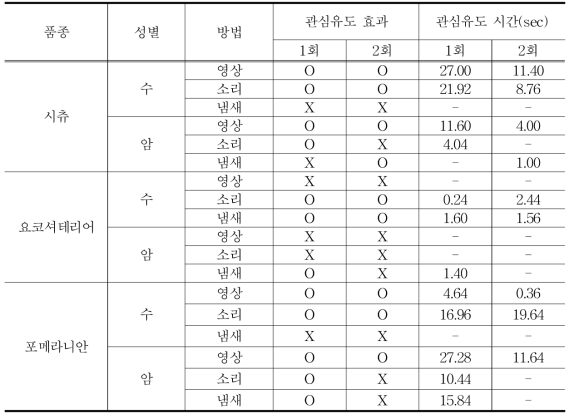 반려견 관심유도 결과