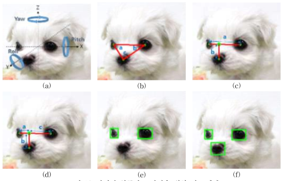반려견 얼굴정보 판별을 위한 정보 추출 (a) 3차원 회전축 ; (b)~(f) 얼굴방향과 관련된 눈과 코의 기학학적 정보