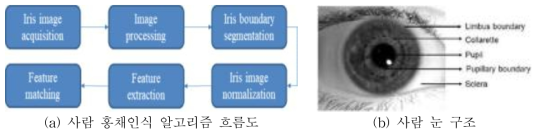 사람 홍채인식 알고리즘 흐름도