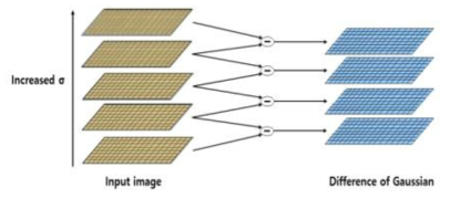 The internal difference of gaussian of SIFT algorithm