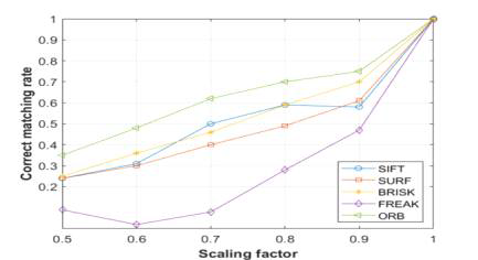 Visualization of correct matching rate according to scaling factor