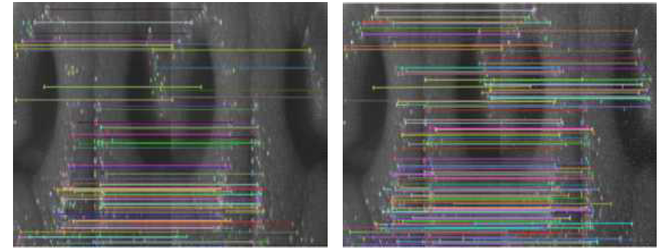 The matching of the noisy image(Left: horizontal motion blur; Right: salt & pepper noise)