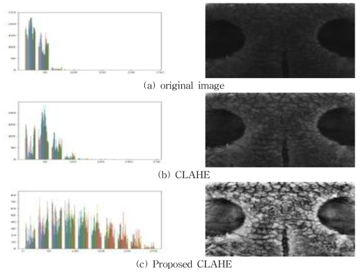 Muzzle patter image and histogram