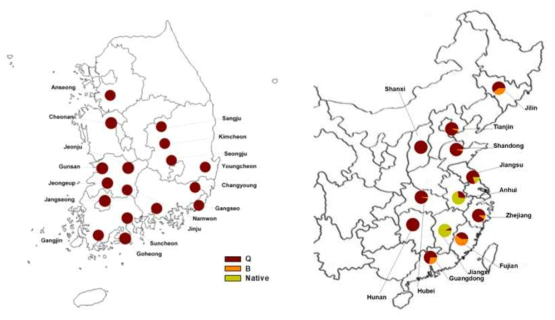 Biotype distribution of B. tabaci local populations in 2018