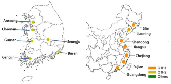 Haplotype distribution of B. tabaci Q biotypes in 2019