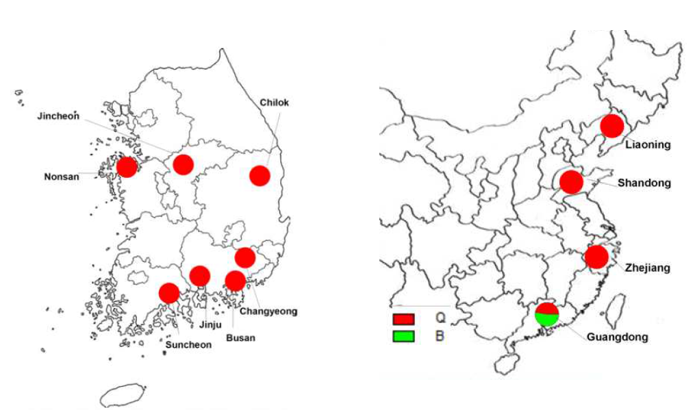 Biotype distribution of B. tabaci local populations in 2020