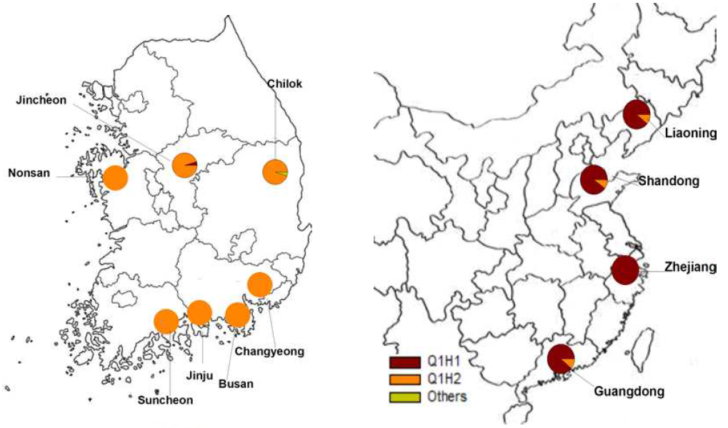 Haplotype distribution of B. tabaci Q biotypes in 2020