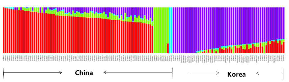 Population genetic structure of Korean and Chienese B. tabaci Q based on 2b-RAD analysis in 2019 and 2020 (K=4)