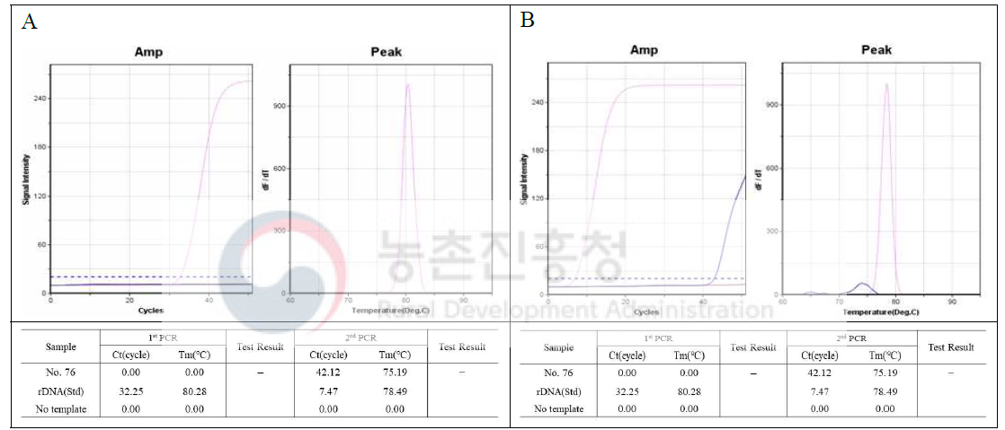 사탕무 특이유전자 검출