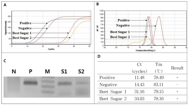 사탕무 설탕에서의 사탕무 특이 유전자의 검출