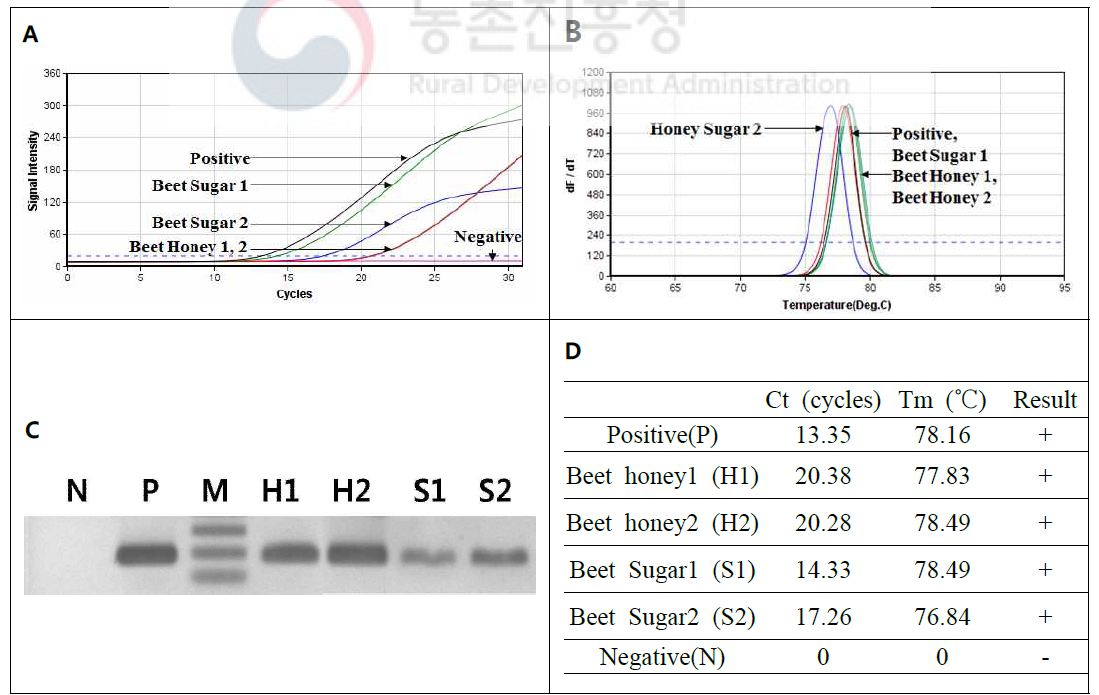 Nested PCR을 이용한 사탕무 설탕과 사탕무 사양벌꿀에서의 사탕무 특이 유전자 재검출