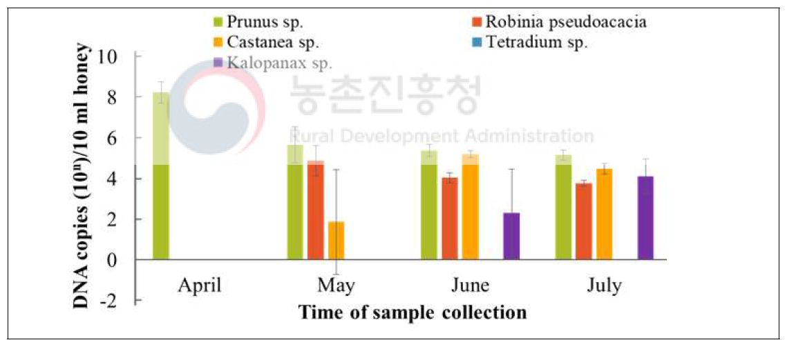 각 꿀시료에서 추출된 DNA중 각 수종의 특이 유전자 분자수
