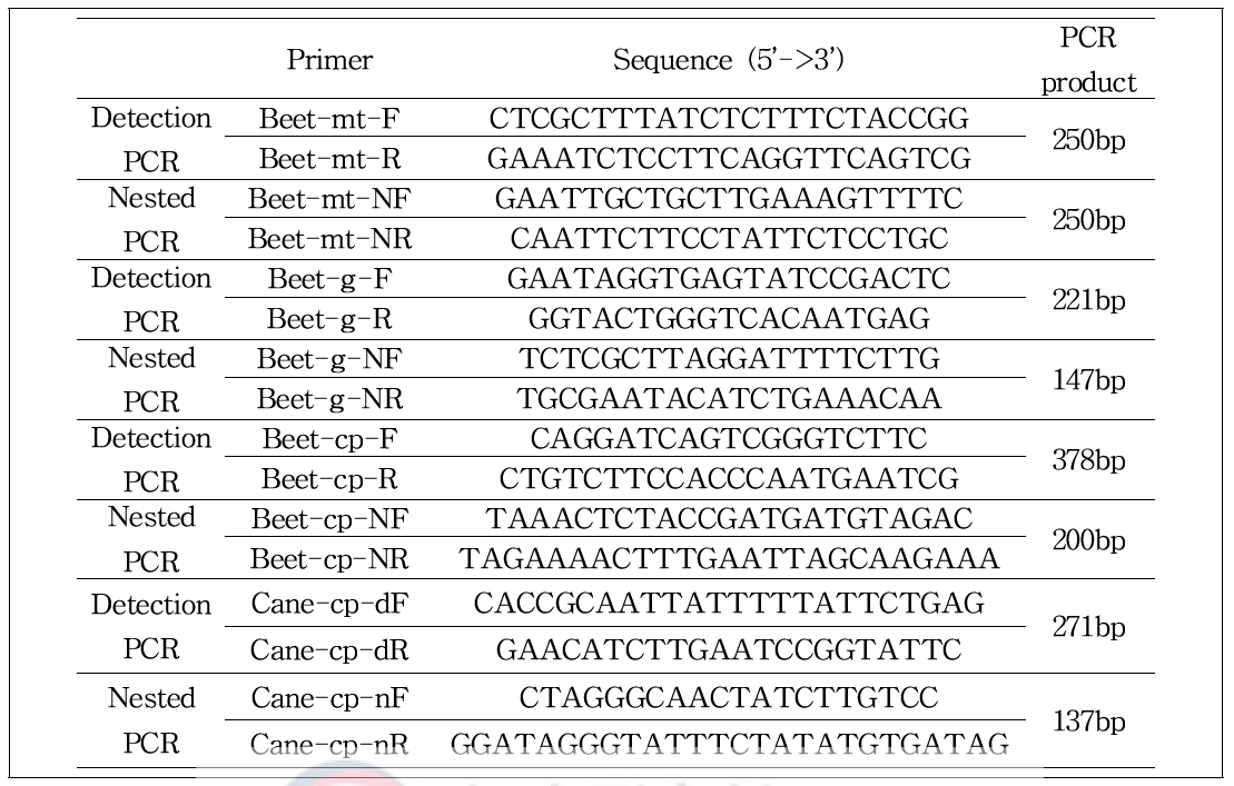 사탕무 특이유전자 detection primer 및 nested primer