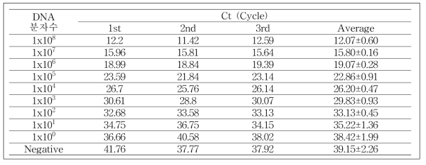 사탕무 특이 유전자 재조합DNA(g. DNA)주형 copy 수에 따른 Ct값