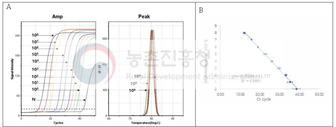 사탕무 특이유전자 재조합DNA의 검출한계 및 정량범위