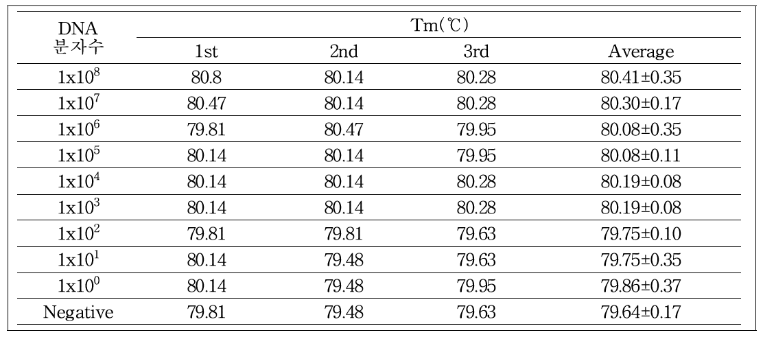 사탕무 특이 유전자 재조합DNA(g. DNA)주형 copy 수에 따른 Tm값