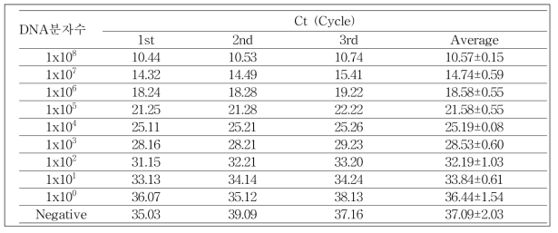 사탕무 특이 유전자 재조합DNA(g.DNA)주형 copy 수에 따른 Ct값