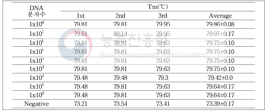 사탕무 특이 유전자 재조합DNA(g.DNA)주형 copy 수에 따른 Tm값