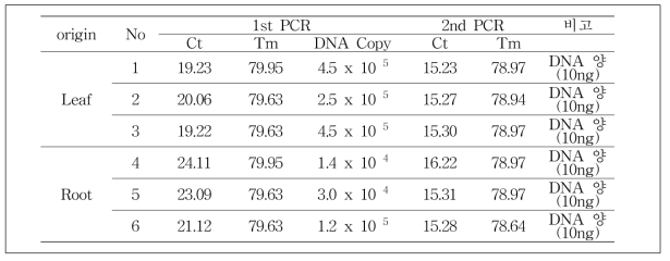 사탕무발아체10ng DNA에 대한 mt.DNA target 검출실험