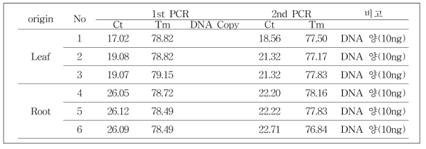 사탕무 발아체 10ng DNA에 대한 cp.DNA target 검출실험