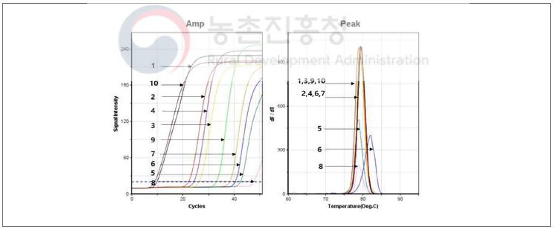 사탕무 발아체, 50%(w/v) 설탕물, 100% 사양벌꿀에서 g. DNA 특이유전자 검출