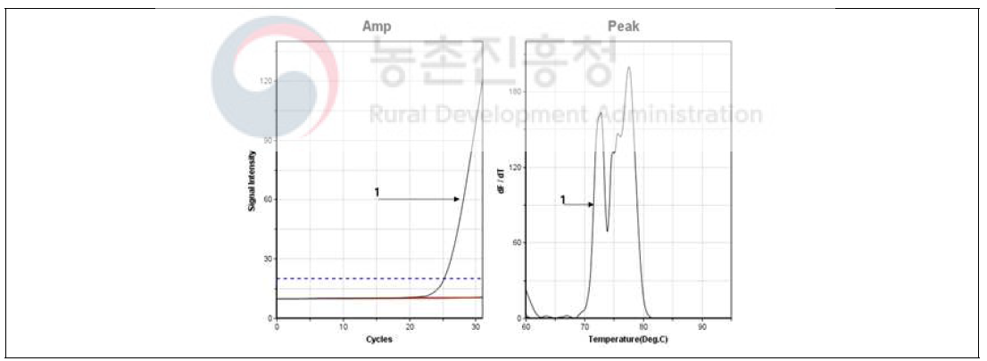 Nested PCR를 이용한 설탕물 사탕무사양벌꿀에서 cp DNA 특이유전자 검출