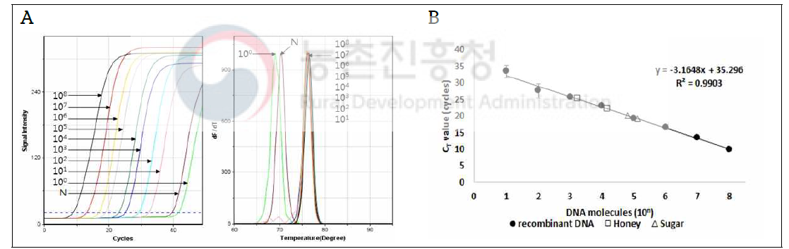 사탕수수 특이유전자 재조합 DNA의 검출한계 및 정량범위