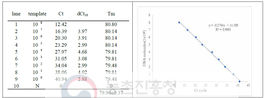 pTOP-RdDp315를 이용한 초고속 PCR