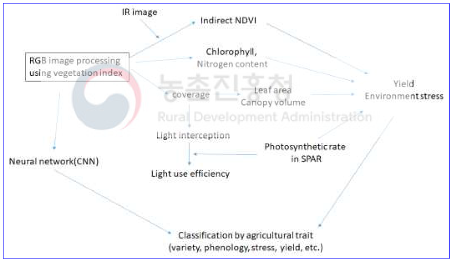 RGB index 활용 작물 표현체 연구 활용