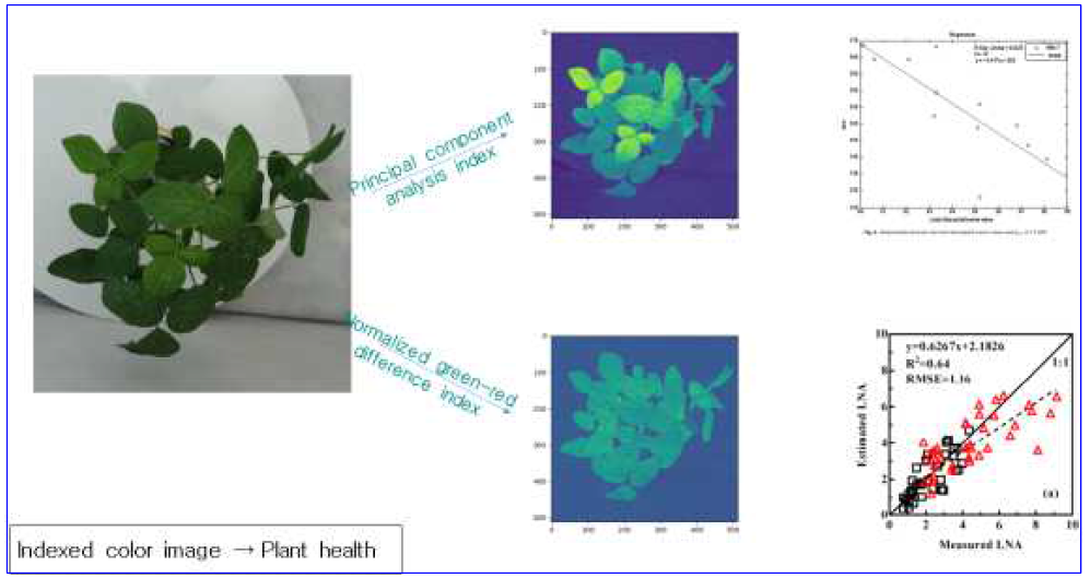 RGB index 활용 작물 생육 진단