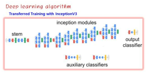 InceptionV3 알고리즘의 구조