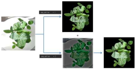 Modified ExGR image segmentation