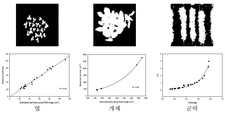 엽-개체-군락 수준별 영상기반 피복도와 엽면적과의 관계