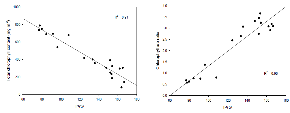 IPCA vs 총엽록소함량(좌)과 IPCA vs 엽록소 a/b 율(우)