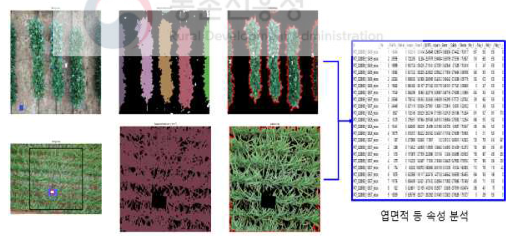 RGB 작물 생육영상 세그멘테이션 및 엽면적 산출 프로그램