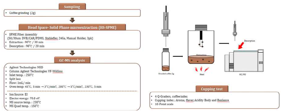 커피의 휘발성분 GC/MS 분석 방법