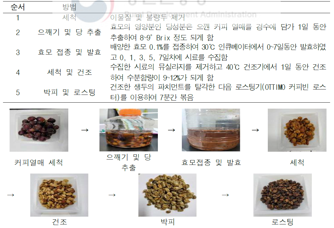 발효커피 제조 공정도