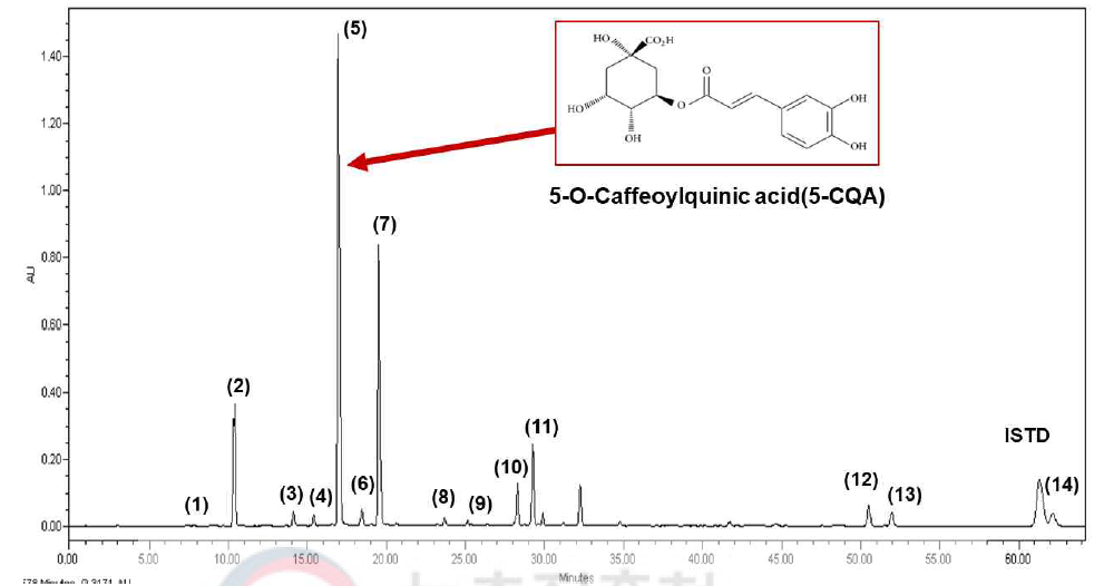 커피의 페놀산 화합물 UPLC-QToF-MS 크로마토그램 (1) 1-O-caffeoylquinic acid, (2) 3-O-caffeoylquinic acid, (3) 3-O-p-coumaroylquinic acid, (4) Cis-3-O-caffeoylquinic acid, (5) 5-O-caffeoylquinic acid, (6) 3-O-feruloylquinic acid, (7) 4-O-caffeoylquinic acid, (8) 5-O-p-coumaroylquinic acid, (9) 4-O-p-coumaroylquinic acid, (10) 5-O-feruloylquinic acid, (11) 4-O-feruloylquinic acid, (12) 3,4-di-O-caffeoylquinic acid, (13) 3,5-di-O-caffeoylquinic acid, (14) 4,5-di-O-caffeoylquinic acid, ISTD-2,4,5-trimethoxycinnamic acid