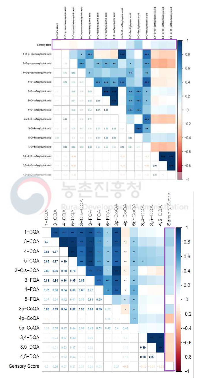 커피의 페놀산과 식미평가 간의 상관성 분석 그래프 (위: ‘19, 아래: ‘20) (*-p<0.1, **-p<0.05, ***-p<0.01)