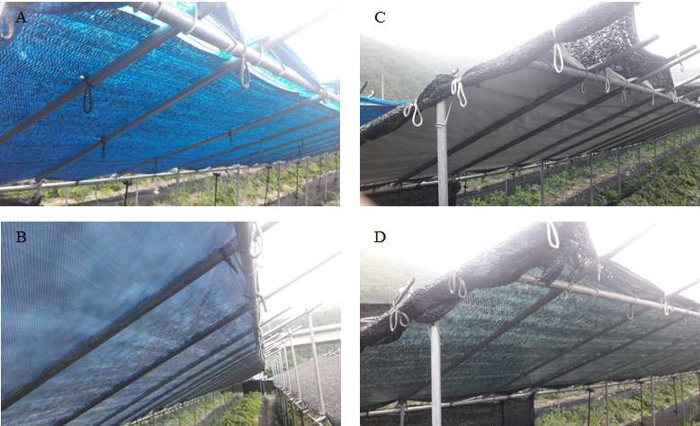 차광시설과 자재 ※ A : Four-Layered Shading Net, B : Blue Color Shading Sheet, C : Aluminum-Coated Shading Board, D : Green Color Shading Sheet