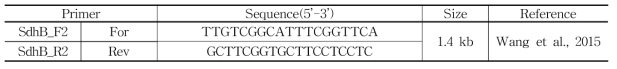 SdhB 유전자 식별에 사용된 primer