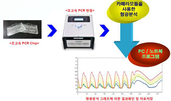 Ultra-fast PCR 원리