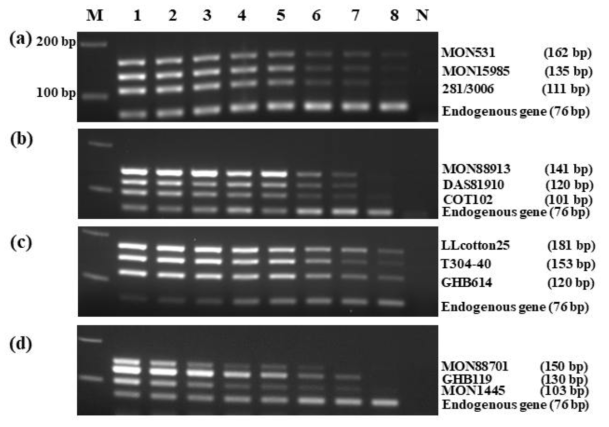 GM 면화 event-specific multiplex PCR의 검출한계. 3% agarose gel에서 전기영동 분석하였으며 왼쪽 패널은 각 primer에 특이적으로 증폭하는 GM 면화 event 정보 및 그 증폭된 DNA 밴드 사이즈를 표시한다. (a) Set 1: GM cotton events 281-24-236/3006-210-23, MON15985, MON531의 샘플. (b) Set 2: GM cotton events COT102, DAS81910, MON88913의 샘플. (c) Set 3: GM cotton events GHB614, T304-40×GHB119, LLcotton25의 샘플. (d) Set 4: GM cotton events MON1445, GHB119, MON88701의 샘플. Lane M: 100 bp DNA ladder; lanes 1-8, 10, 5, 3, 1, 0.5, 0.1, 0.05 and 0.01%의 GM 면화 events; lane N, No template
